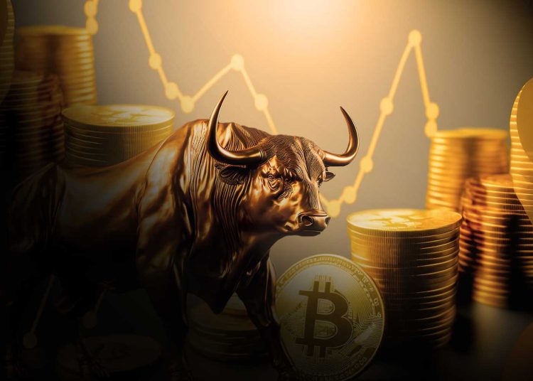 Bitcoin Rises 40%: Is a Bull Rally Coming?