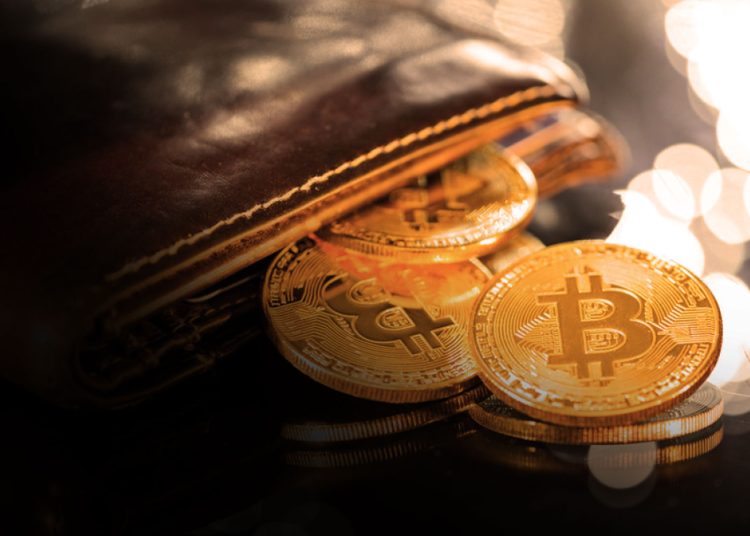 Cryptocurrency Investors Prefer Exchanges To Wallets Despite Bankruptcies