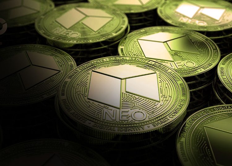 Introduction to Neo Coin: What is Neo Coin and Why it Matters