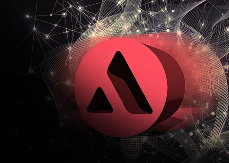 Lost in the Wilderness? AVAX Journey to Find Its Way