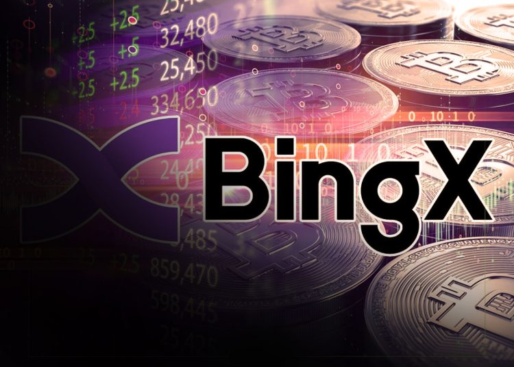 TradingView Gives BingX: The Award For The Best Exchange