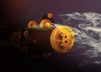 What Is a Cold Wallet? How Do You Get One?