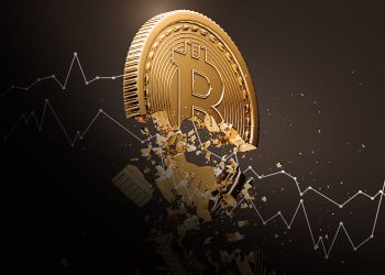 What To Do When the Crypto Crash Hits!