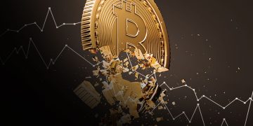 What To Do When the Crypto Crash Hits!