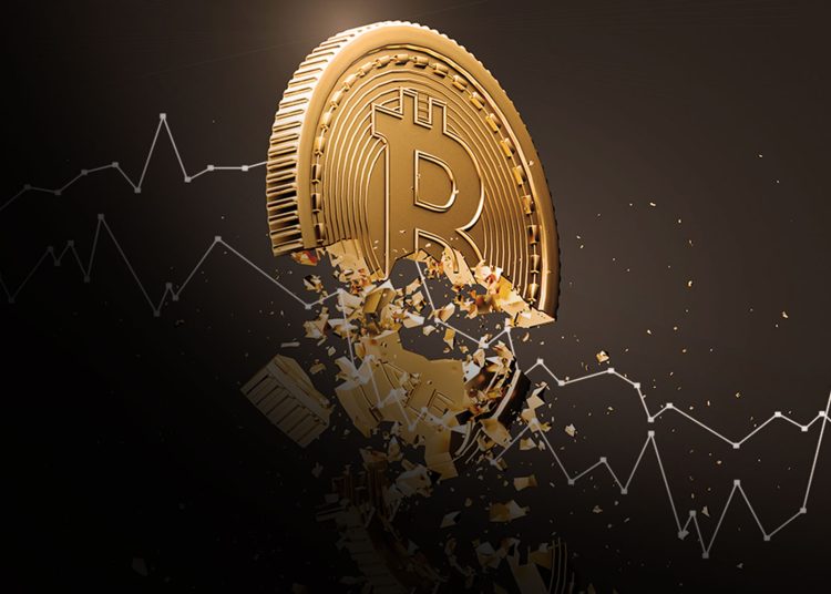 What To Do When the Crypto Crash Hits!