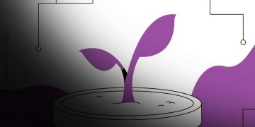 Radicle Crypto Price Prediction2