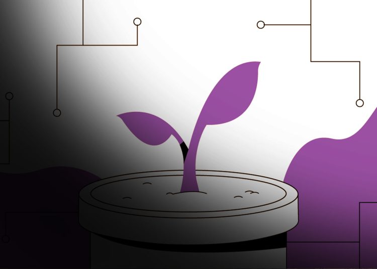 Radicle Crypto Price Prediction2