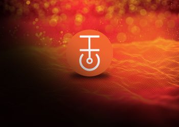 Ship Coin Price Prediction2