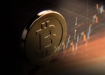 The Economic Impact of a Crypto Market Collapse