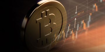 The Economic Impact of a Crypto Market Collapse