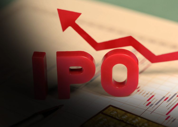 What Is The Primary Purpose Of Initial Public Offering?