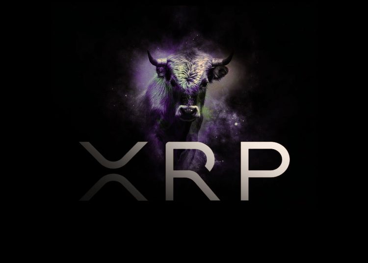 XRPBULL Price Prediction