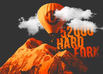 What Factors Affect the Price of Cut?