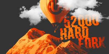 What Factors Affect the Price of Cut?