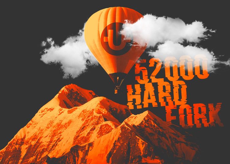 What Factors Affect the Price of Cut?