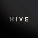 Effects Of Technical Factors On Hive Coin
