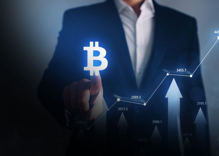 Business Model and Market Analysis