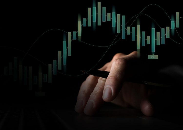 Critical Differences Between Asset Allocation and Security Selection