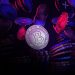 The-Rise-of-Bitcoin--Exploring-its-Ideological-Ties-and-Political-Impact-