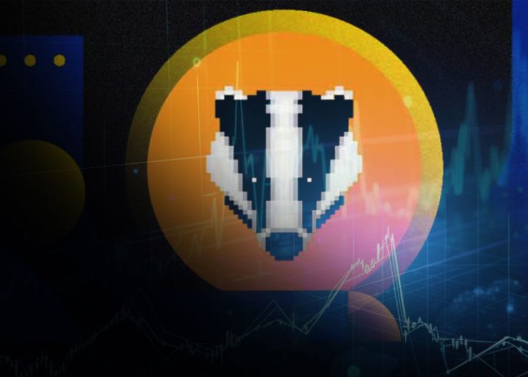 2BADGER-Token-Weekly-Analysis-And-Price-Predictio