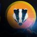 2BADGER-Token-Weekly-Analysis-And-Price-Predictio