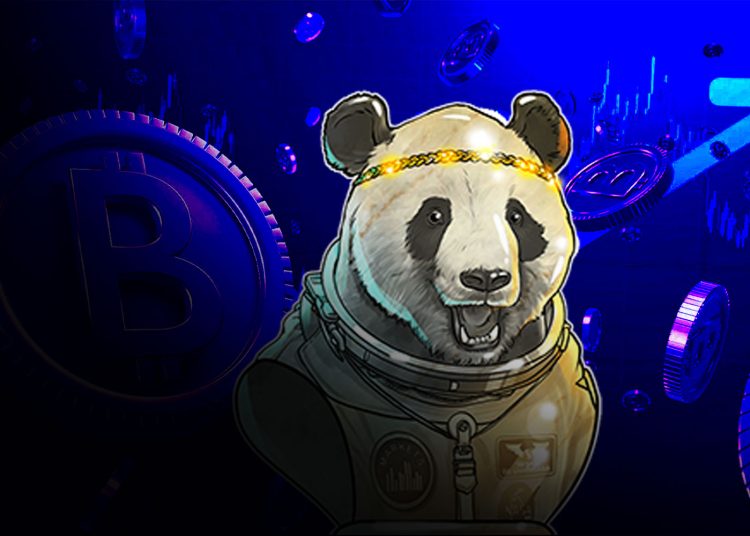 2WhalePanda-Net-Worth--A-Pseudonymous-Crypto-Voice-with-Influence-