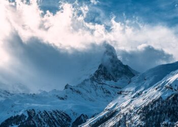 Avalanche (AVAX) Rallies On Fed Rate Cut, DeFi Growth Boosts Long-Term Outlook