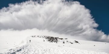 Avalanche Revenue Down Over 40% In Q2