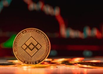 BNB Rally Fades As Price Dips Under $600: Is A Correction Looming?