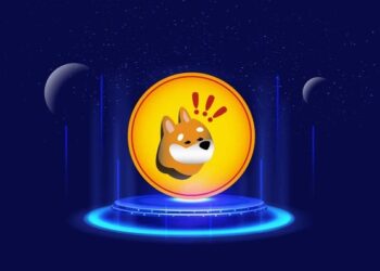 BONK In Trouble As Sharp Decline Hints At An Impending Pullback