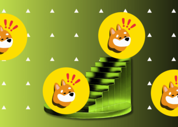 BONK Outperforms Bitcoin, Ethereum, and Solana, What’s Next?