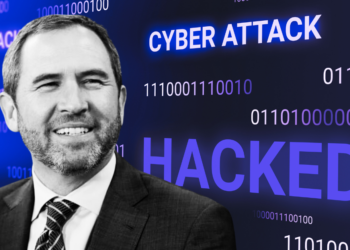 CEO Brad Garlinghouse Issues Grave Warning to XRP Users Amid Growing Scams