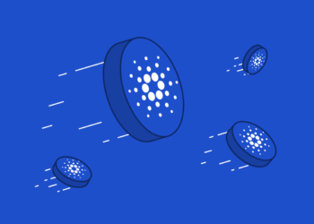 Can ADA Price Catch Up?