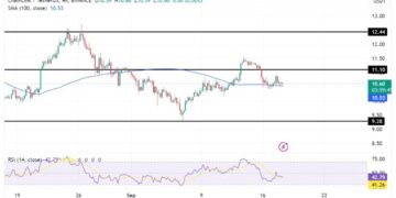 Can Bulls Stage A Comeback?