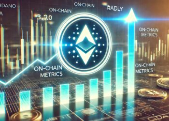 Cardano (ADA) Rally Brewing? On-Chain Metrics Suggest Investors Optimism