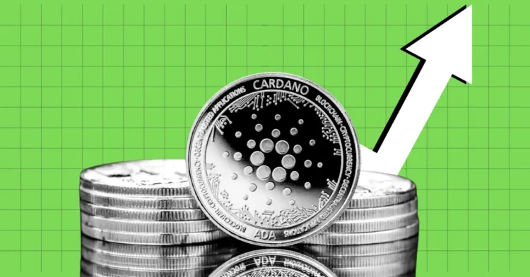 Cardano Whales Move 19.5 Billion ADA, What’s Next?