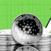 Cardano Whales Move 19.5 Billion ADA, What’s Next?