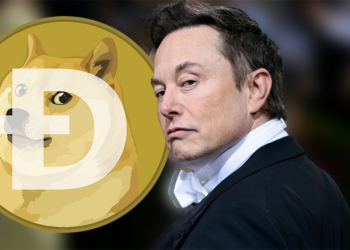 Elon Musk’s Latest Tweet Rescues Dogecoin from Price Crash