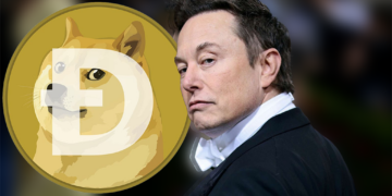 Elon Musk’s Latest Tweet Rescues Dogecoin from Price Crash