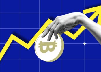 How High Can BTC Price Surge by DEC-2024?