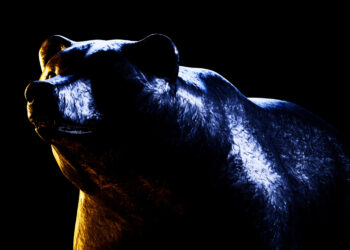 Is DogWifHat (WIF) The “Most Bearish” Of All Major Meme Coins?