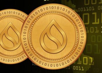 SUI Bulls Gear Up, Can They Push Through The $1.16 Ceiling?