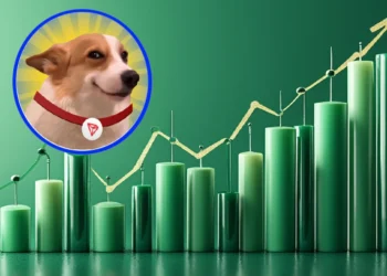 SUNDOGE Price Rally Imminent? Whale Buys Millions of Tokens