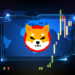 Shiba Inu Breakout Eyes $0.00002631 Level After Rallying Over 19%