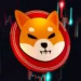 Shiba Inu Lead Hints At Interesting Updates For SHIB In The Coming Weeks, What Is It?