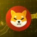 Shiba Inu’s Bold $0.01 Prediction: Here’s When Will SHIB Reach New Heights?