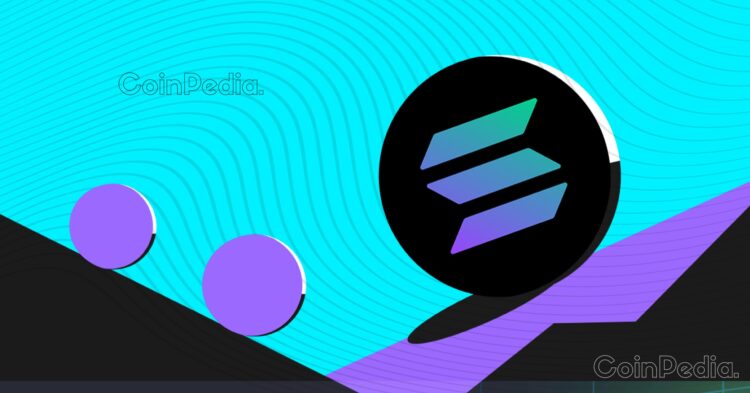 Solana Price Set to Soar? Whale Purchases $1.37M Worth of SOL