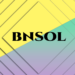 What is BNSOL? Everything You Need to Know !