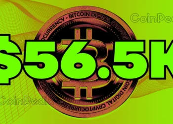 What to Expect in Q4 2024