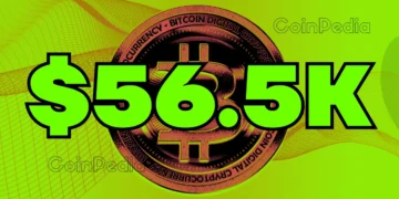 What to Expect in Q4 2024